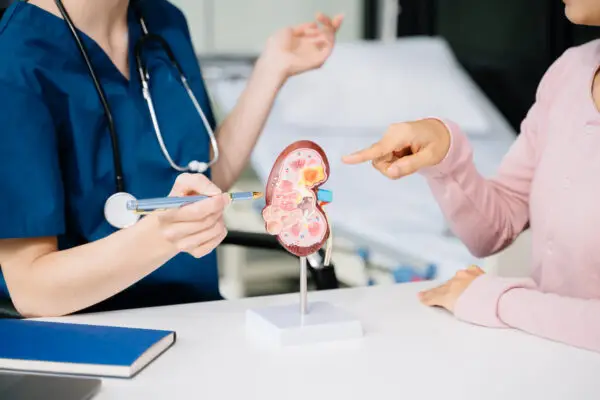 Medical expertise and patient care through anatomical models. Visualize healthcare concepts